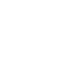 escudo (1)